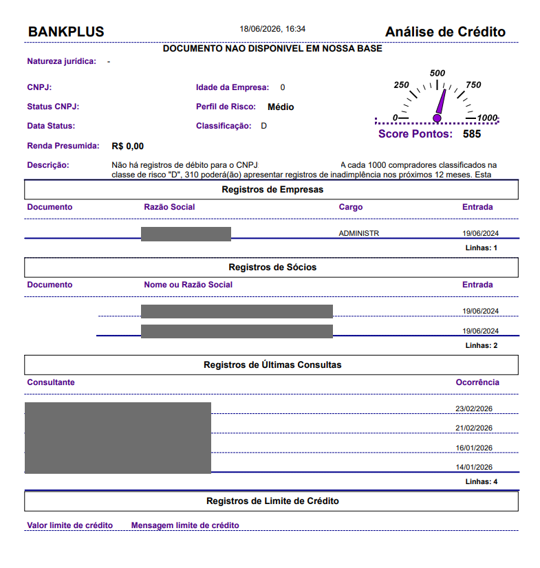 Relatório Análise de Crédito em PDF, com natureza jurídica, perfil de risco, classificação, score e os registros de empresas, sócios, últimas consultas e limite de crédito.